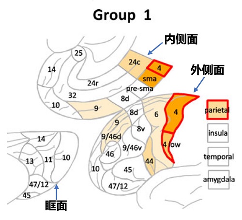 Group 1