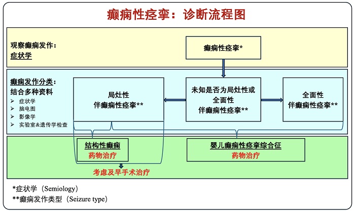 癫痫性痉挛诊断流程图中文版